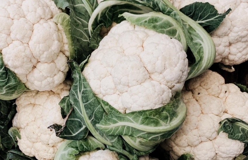 Closeup of many cauliflowers